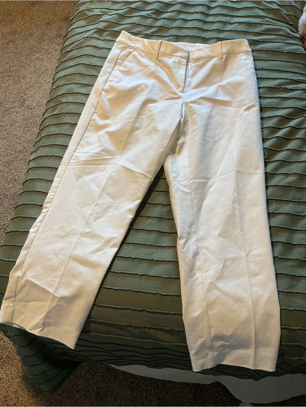 LOFT Riviera slim pant, petite